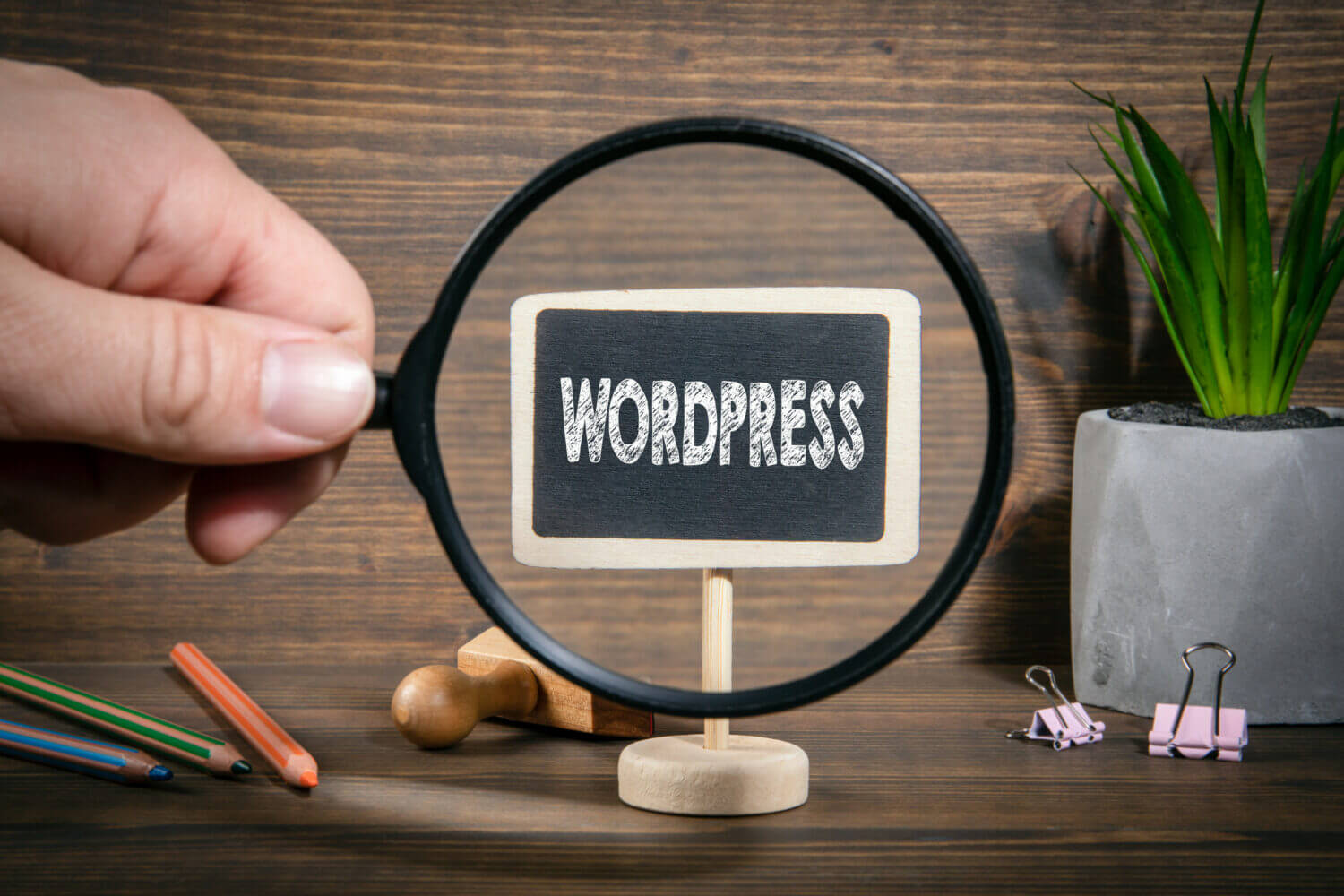 The Future of WordPress Design: Trends to Watch in 2025!